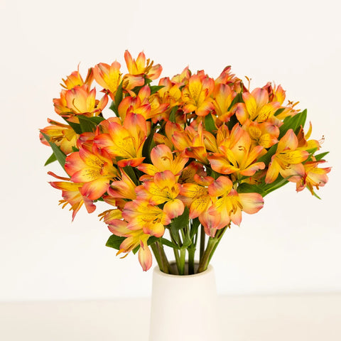 Bicolor Orange And Yellow Peruvian Lilies Vase - Image