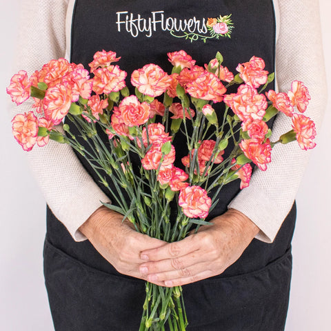 Bicolor Orange and Peach Mini Carnation Flower Bunch in Hand