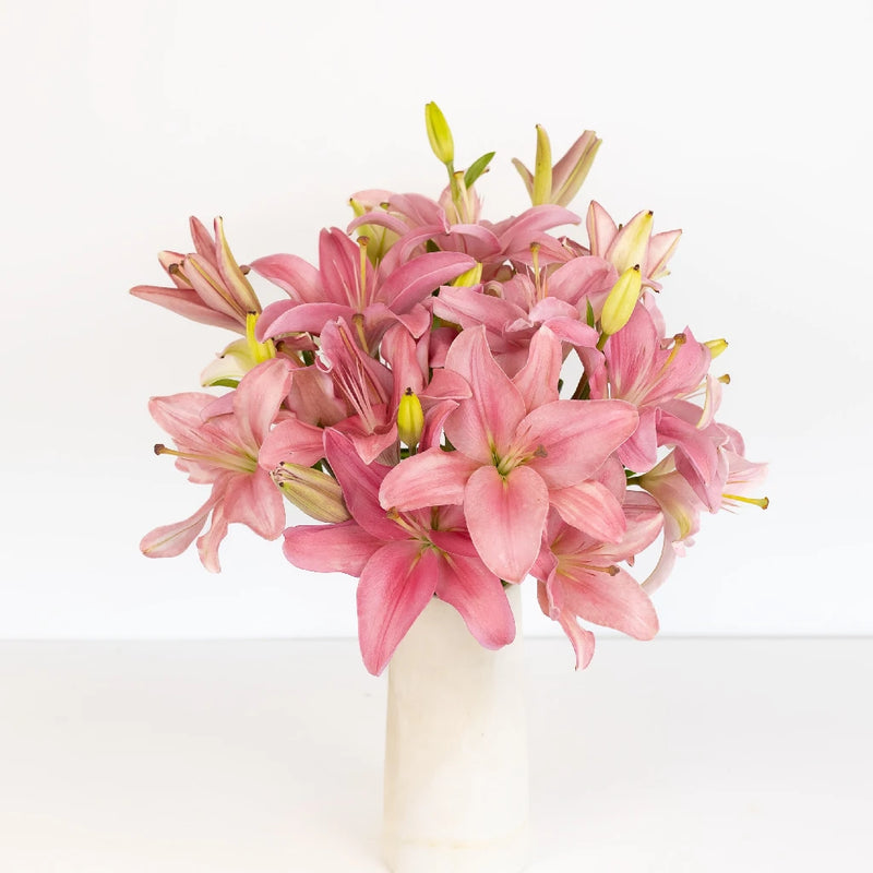 Bicolor Pink And White Asiatic Lily Vase - Image