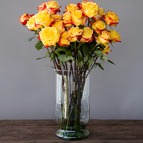 Red and Yellow Bicolor Roses