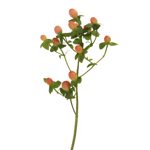 Peaches Designer Hypericum Berries