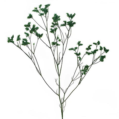Forest Green Airbrushed Limonium Flowers