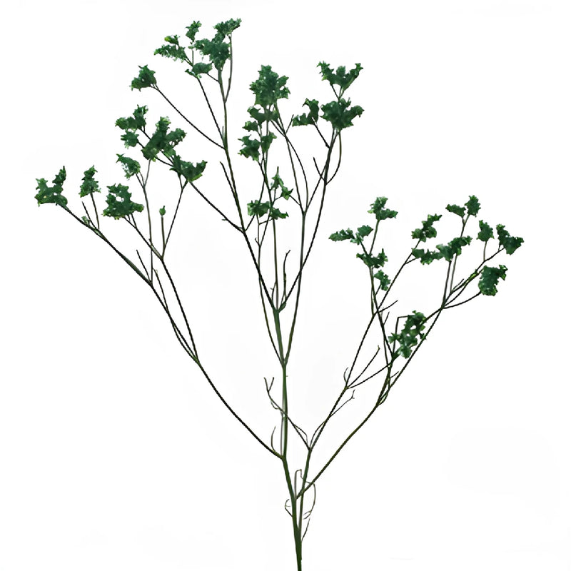 Forest Green Airbrushed Limonium Flowers