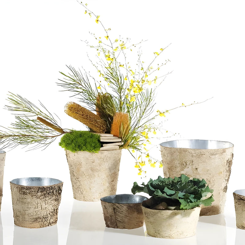 Birch Planter Vase - Image