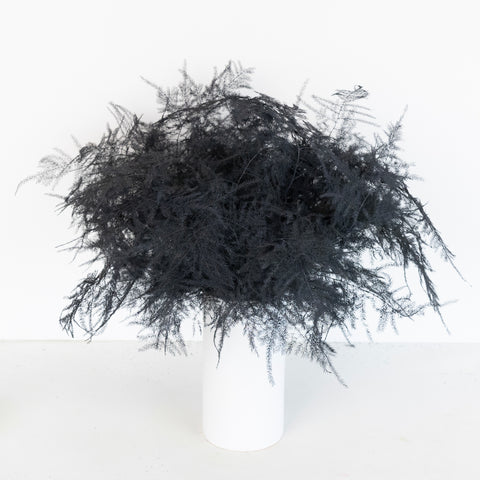 Black Enhanced Plumosa Fern Greenery Vase - Image