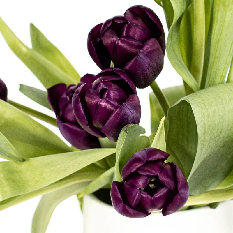 dark purple tulip bouquet