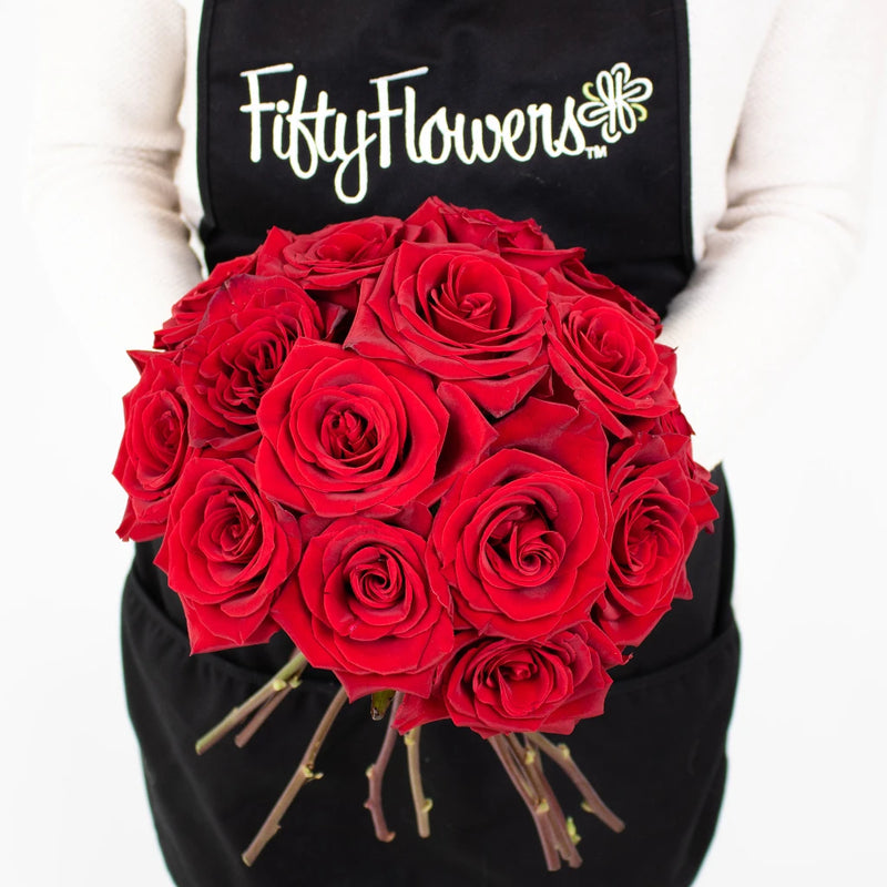 Black Magic Rose Flower Bunch in Hand