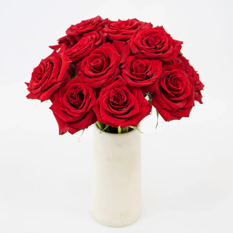 Black Magic Rose Flower Bunch in Vase
