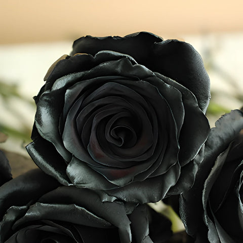 Black Tinted Roses