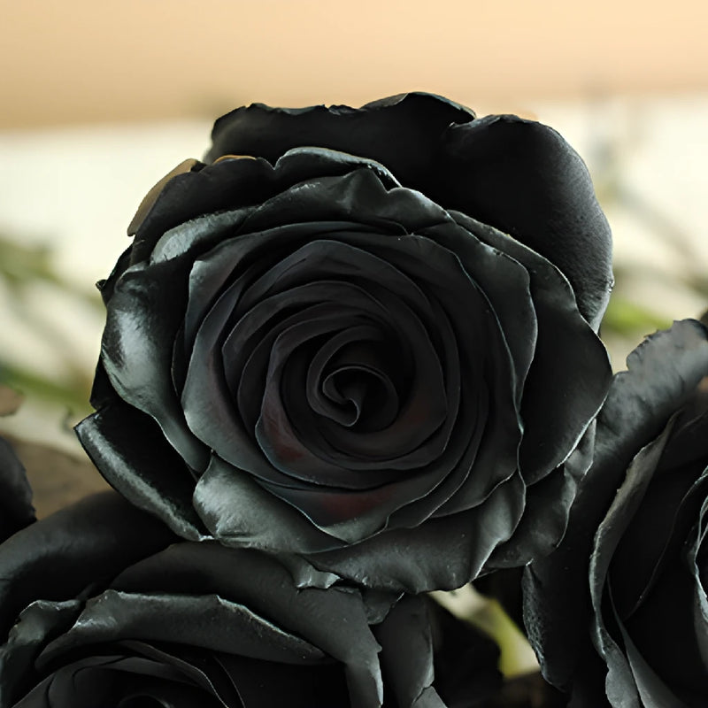 Black Tinted Roses
