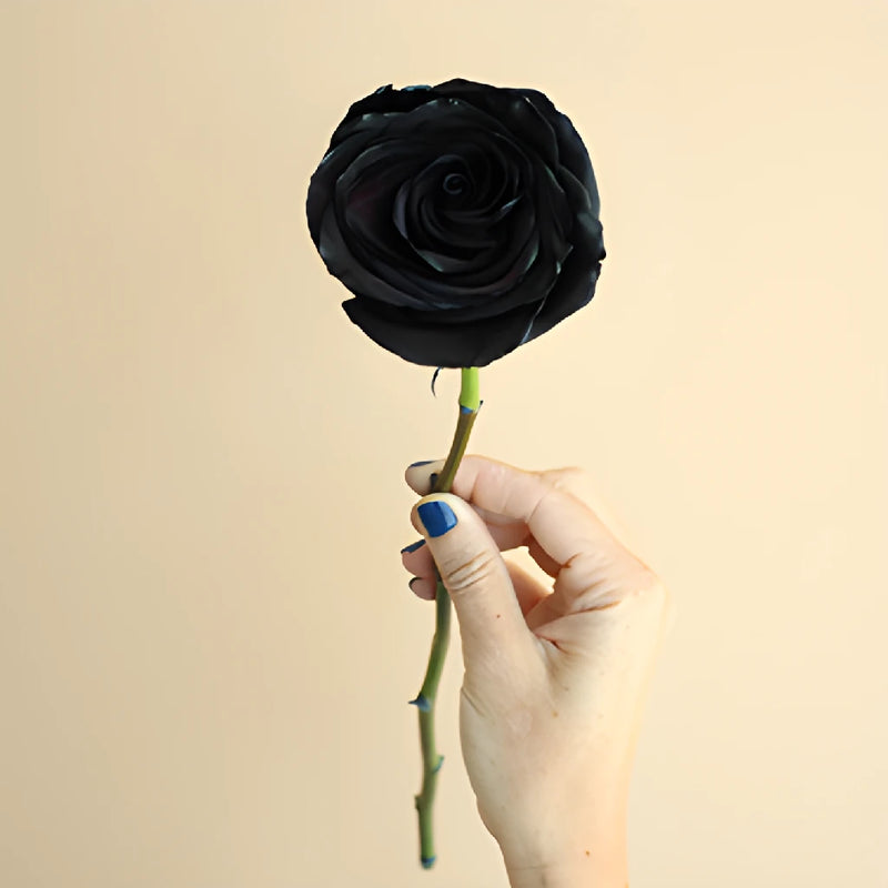 Black Tinted Roses