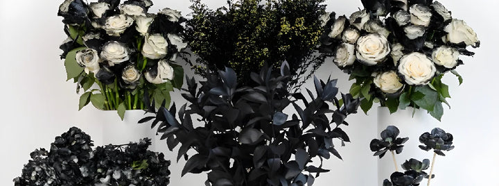 Black Velvet DIY Flower Kit