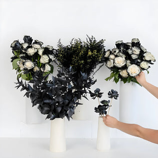 Black Velvet Flower Bar Close Up - Image