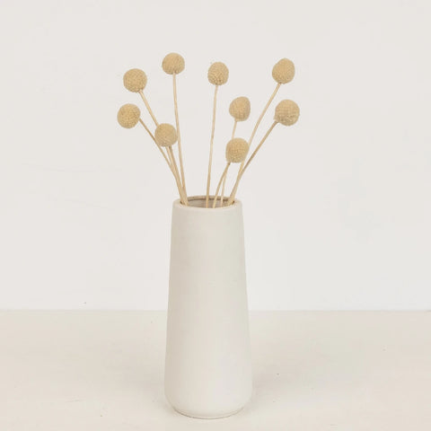 Bleached Dried Craspedia Billy Balls Vase - Image