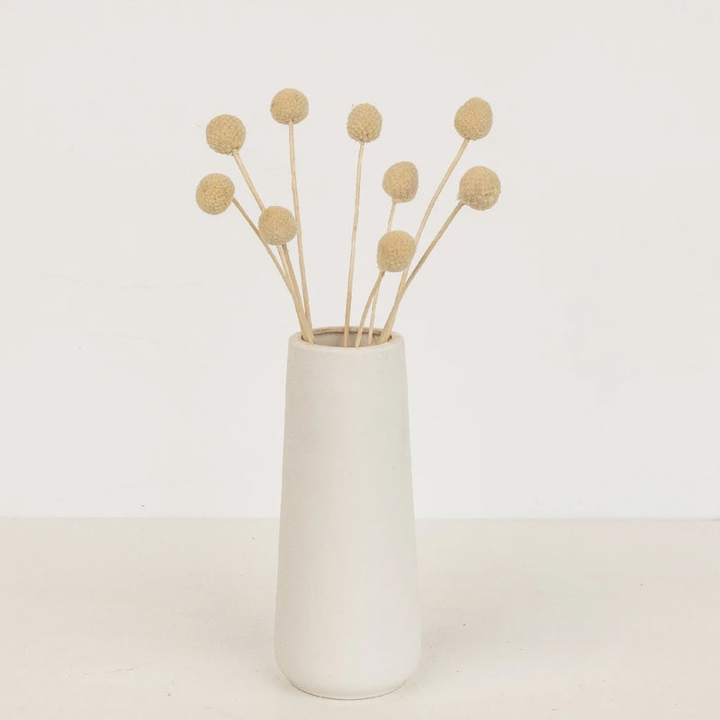 Bleached Dried Craspedia Billy Balls Vase - Image