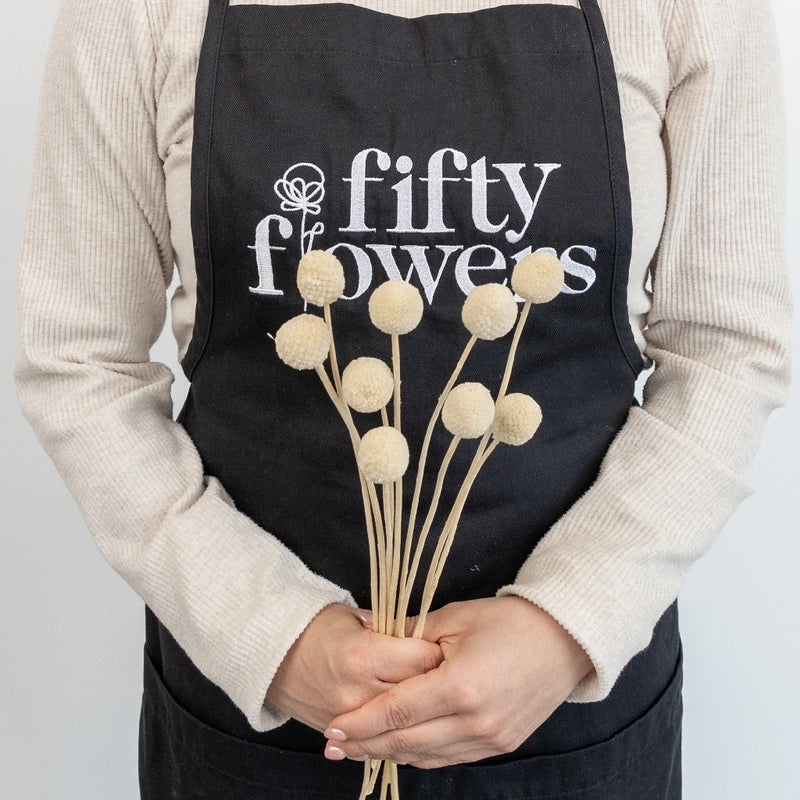 Bleached Dried Craspedia Billy Balls - Image