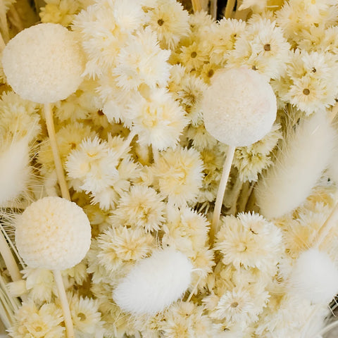 Bleached Dried Flower Pack Close Up - Image