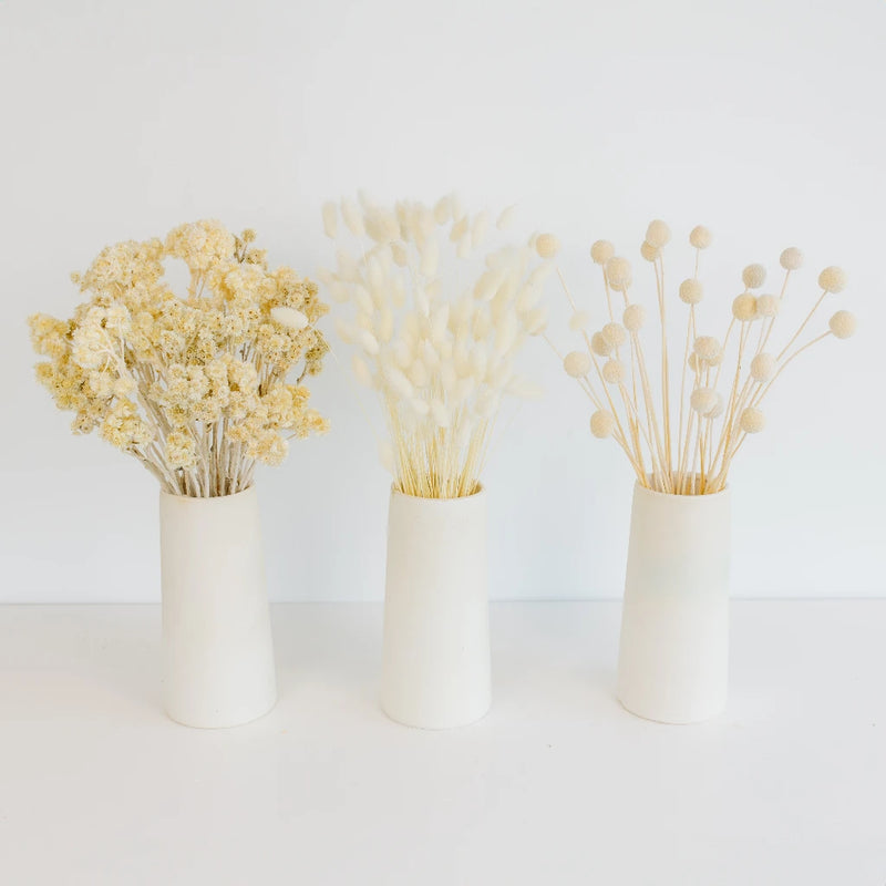 Bleached Dried Flower Pack Stem - Image