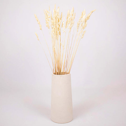 Bleached Dried Orchad Flower Bunch in Vase