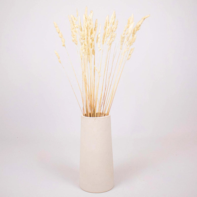 Bleached Dried Orchad Flower Bunch in Vase