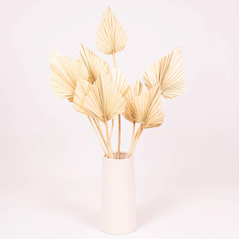 Bleached Dried Palm Spears in Vase