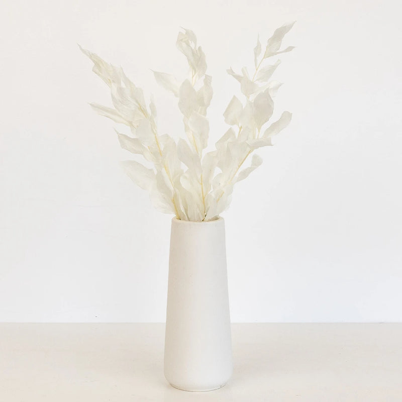 Bleached Dried Ruscus Greenery Vase - Image