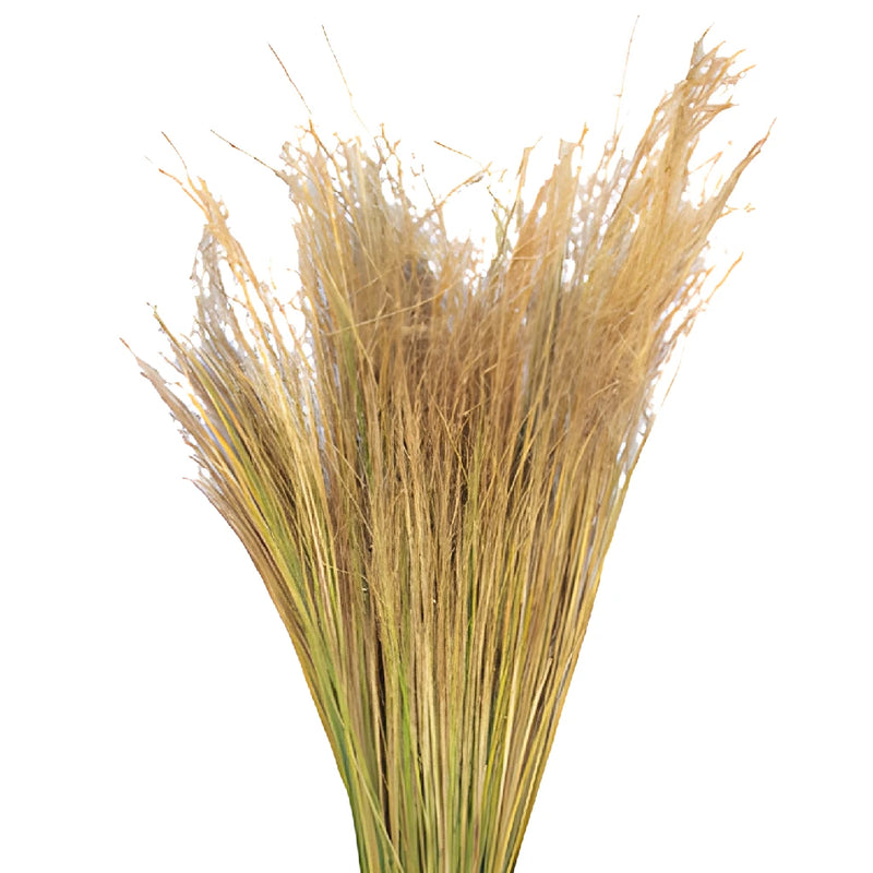 Wholesale greenery blonde love grass filler flowers sold as bulk