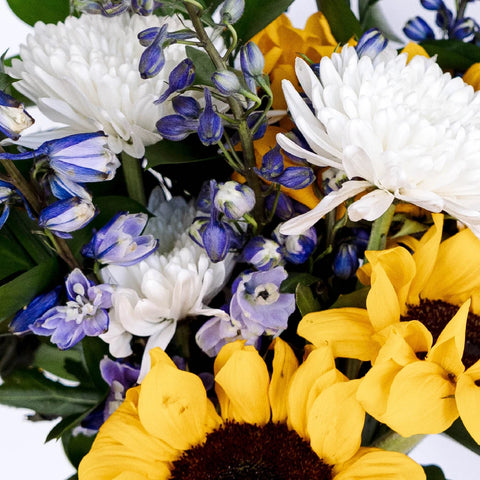 Blooming Garden Spring Combo Pack Close Up - Image