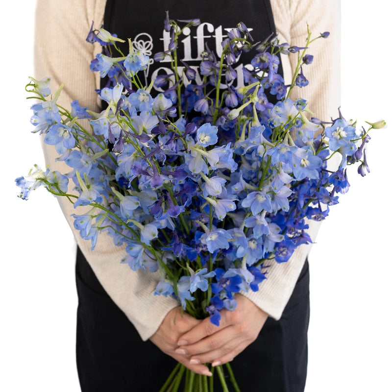 Blue Assorted Designer Delphinium Pack Vase - Image