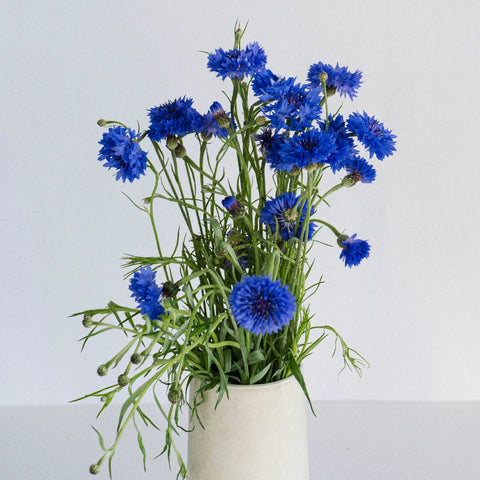 Blue Cornflowers Vase - Image