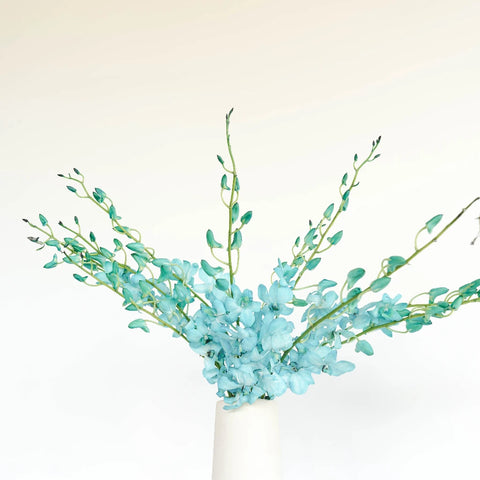 Blue Dendrobium Orchids Vase - Image