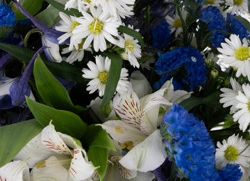 Blue Magic Diy Flower Kit Close Up - Image