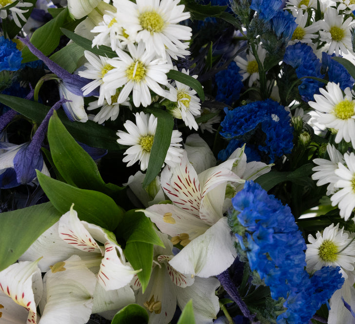 Blue Magic Diy Flower Kit Close Up - Image