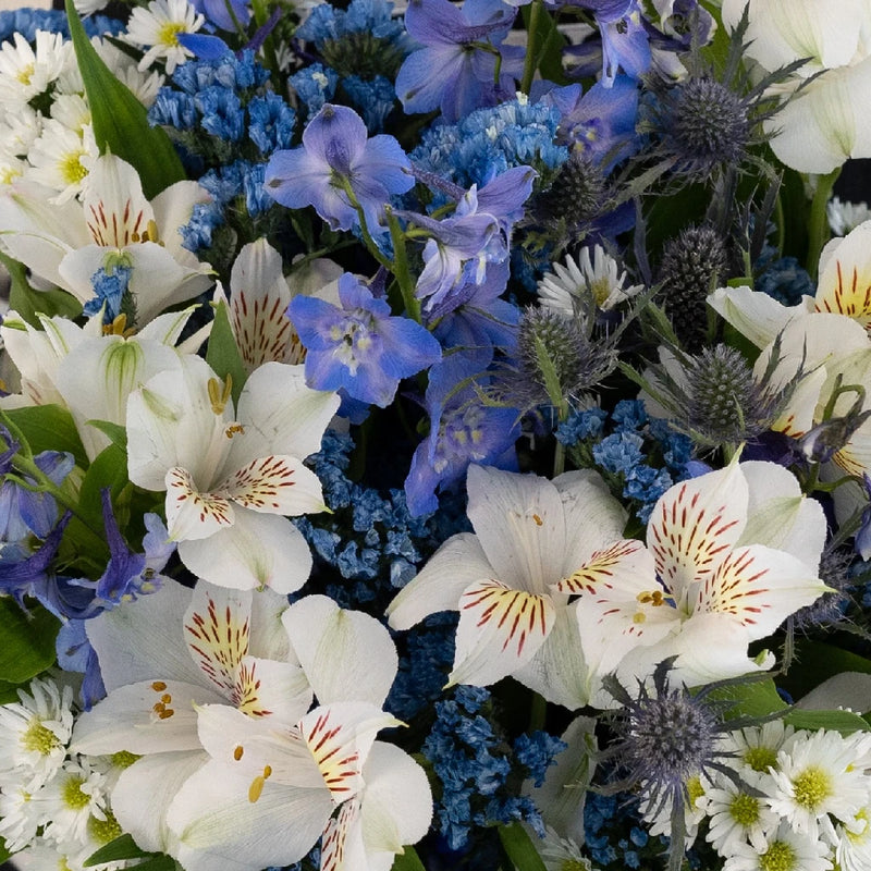Blue Magic Flower Bouquet Bar Close Up - Image
