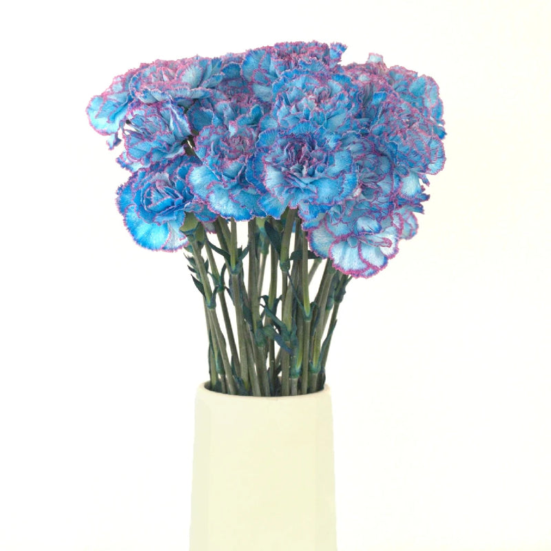 Blue Raspberry Carnation Flower Vase - Image