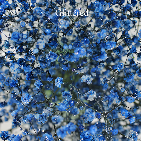 Blue Tinted Baby's Breath Flower