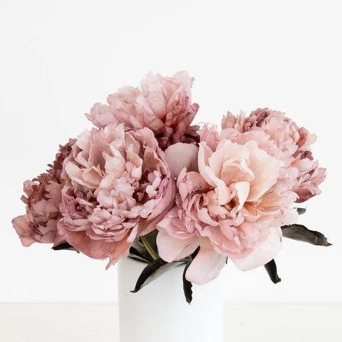 Blush Brownie Peonies Vase - Image