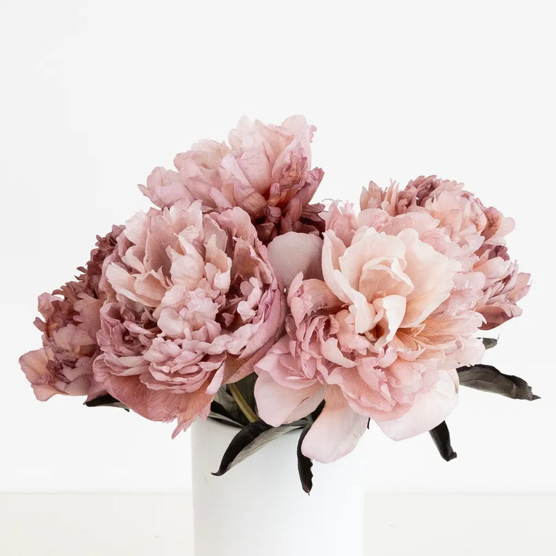 Blush Brownie Peonies Vase - Image