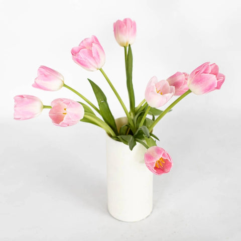 Blush Bulk Tulip - Image