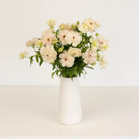 Blush Butterfly Ranunculus Flower Vase - Image