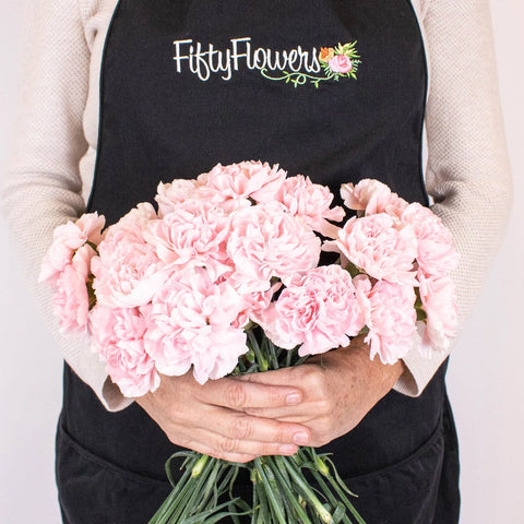 Blush Carnation Flower Bunch in Hand