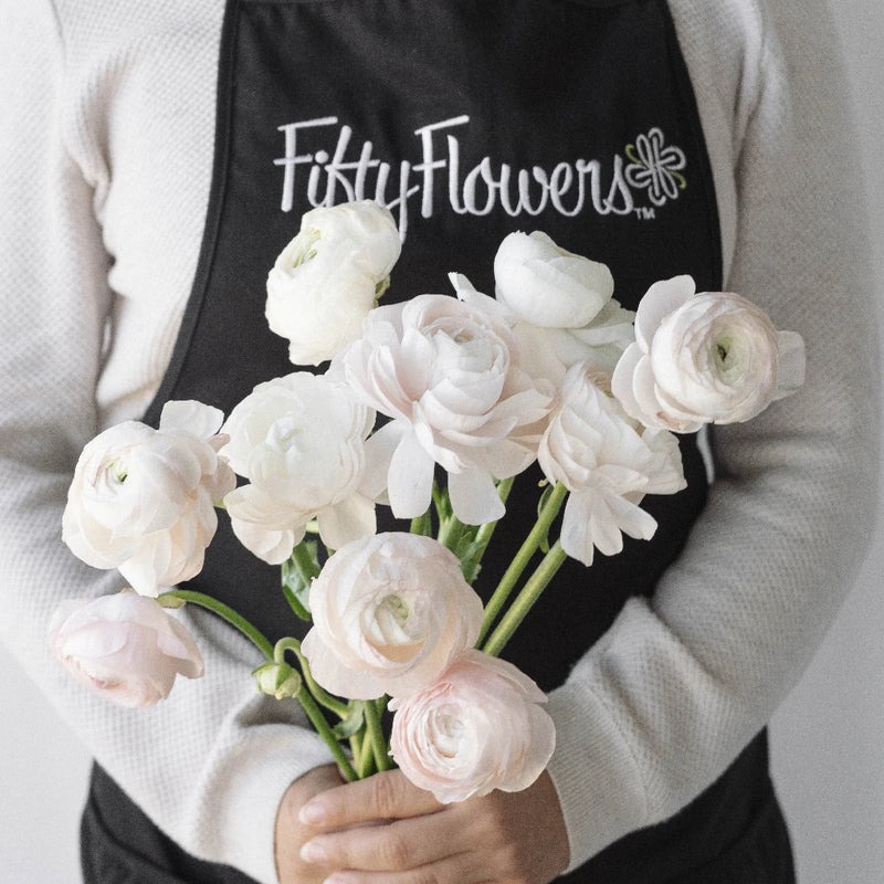 Blush Italian Cloony Ranunculus Apron - Image