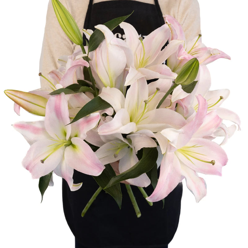 Blush Oriental Lily Apron - Image