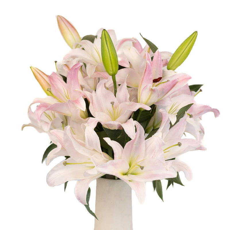 Blush Oriental Lily Vase - Image