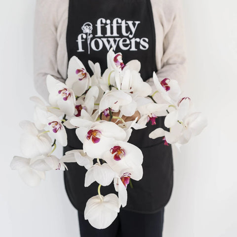 Blush Princess Phalaneoposis Apron - Image