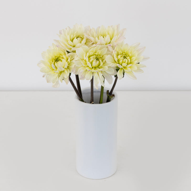 Blush White Dahlia Flower Vase - Image