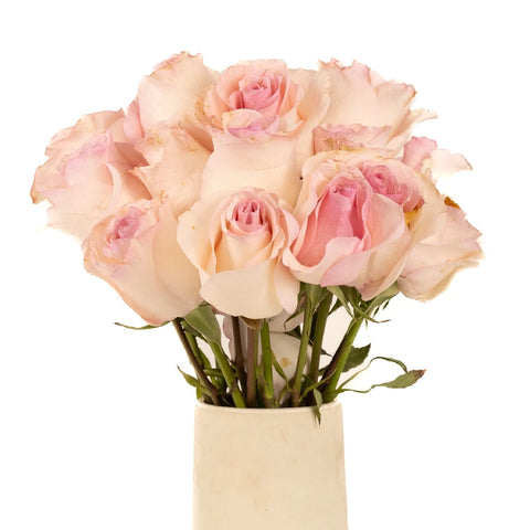 Blushing Arleen Rose Vase - Image