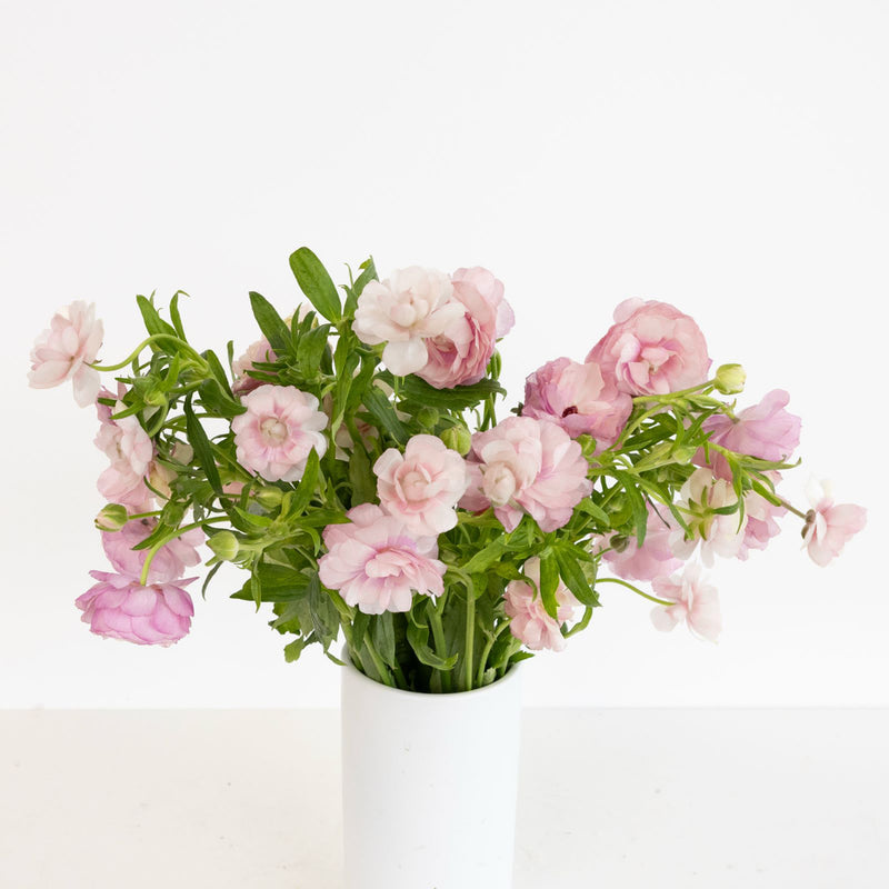 Blushing Bride Butterfly Ranunculus Flower Vase - Image