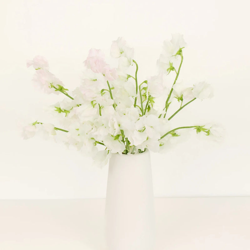 Blushing Bride White Designer Japanese Sweet Peas Vase - Image