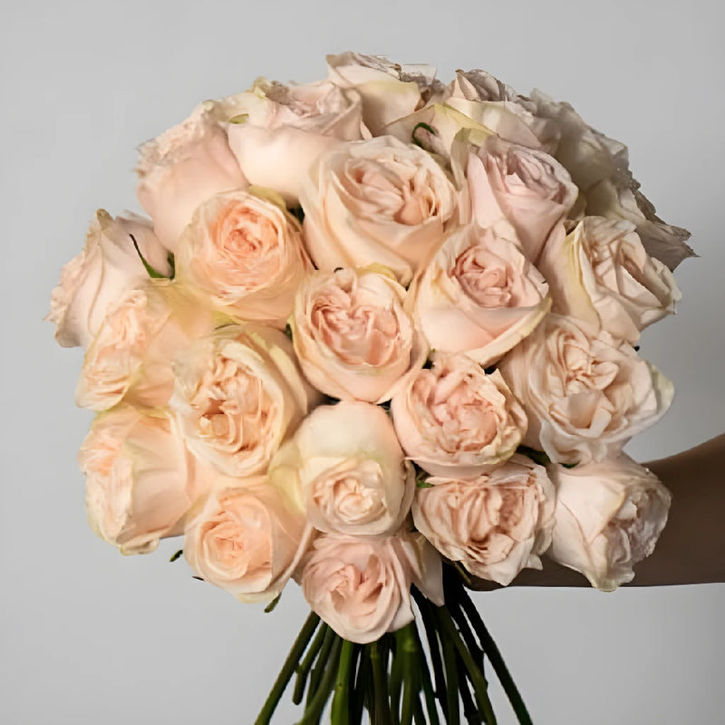 Blushing Garden Spirit Roses Hand - Image